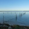 Remnants of Sans Souci Baths on Botany Bay, Sans Souci